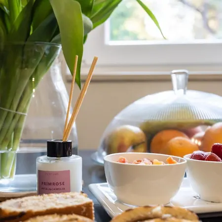 Apartment Hedonist
